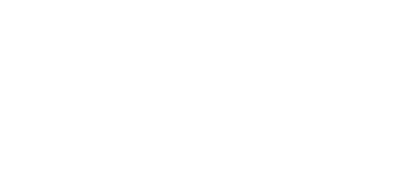 Superbus