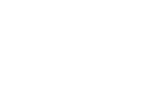 Muse
