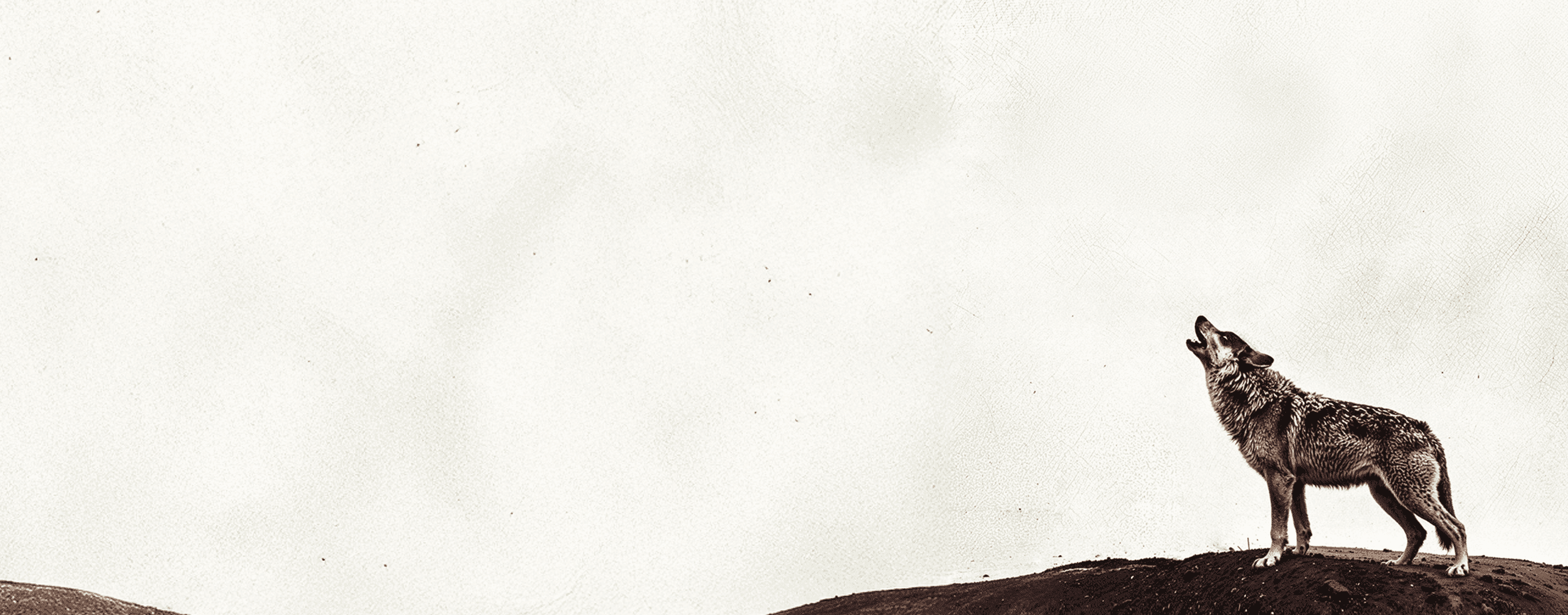 Concert - Djadja & Dinaz