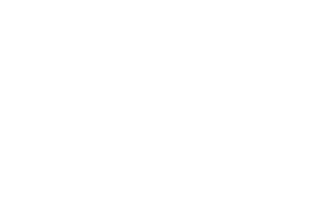 Birdy Taxi