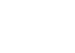 Birdy Taxi
