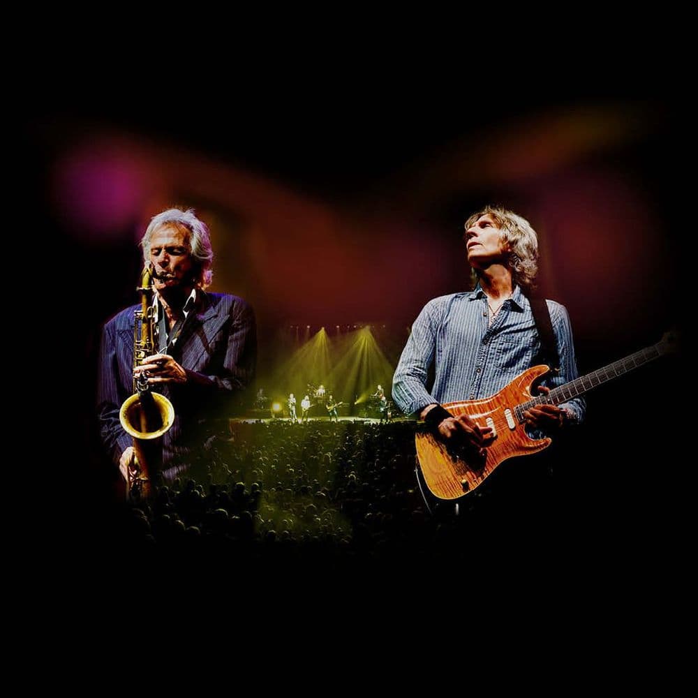 Live in 2025 - The Dire Straits Experience