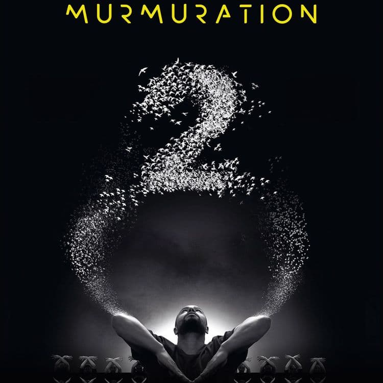 Murmuration - Level 2 - mer. 15 avr. 2026