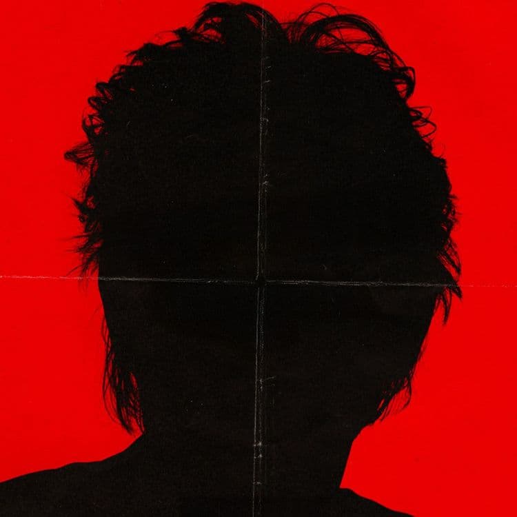 Hubert Félix Thiéfaine - Des Adieux