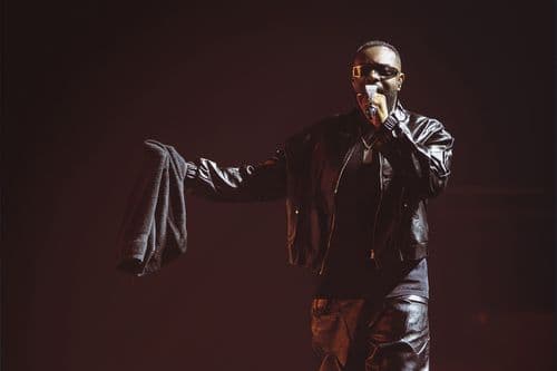 Image de l'artiste en concert.