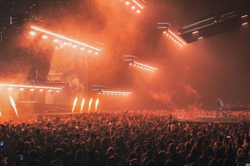 Image de l'artiste en concert.