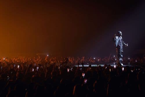 Image de l'artiste en concert.