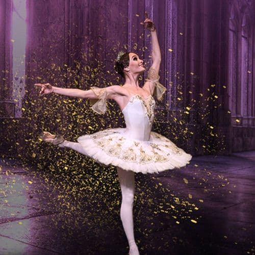 Photo de l'artiste La Belle Au Bois Dormant