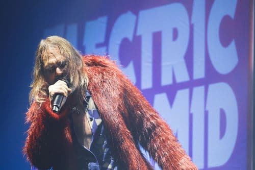 Image de l'artiste en concert.