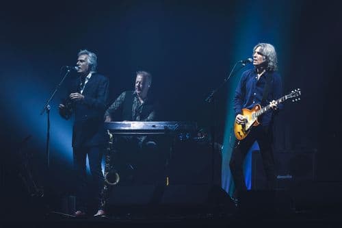 Image de l'artiste en concert.