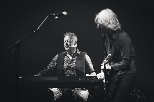 Image de l'artiste en concert.