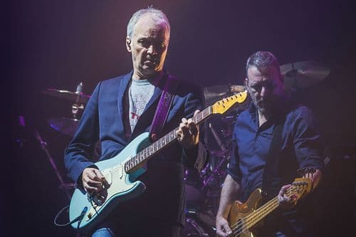 Image de l'artiste en concert.