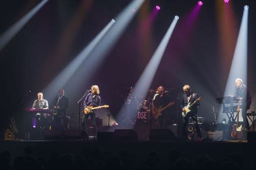 Image de l'artiste en concert.