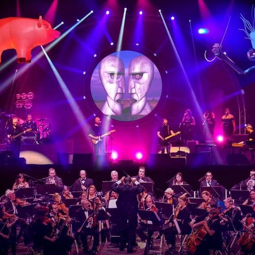 Photo de l'artiste Back To The Floyd