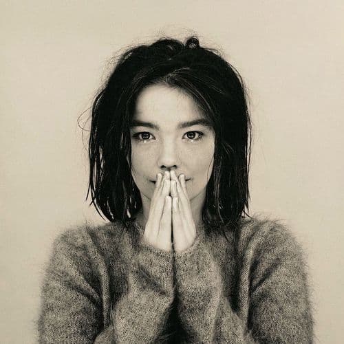 Photo de l'artiste Björk