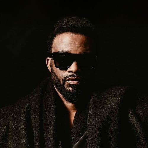 Photo de l'artiste Fally Ipupa