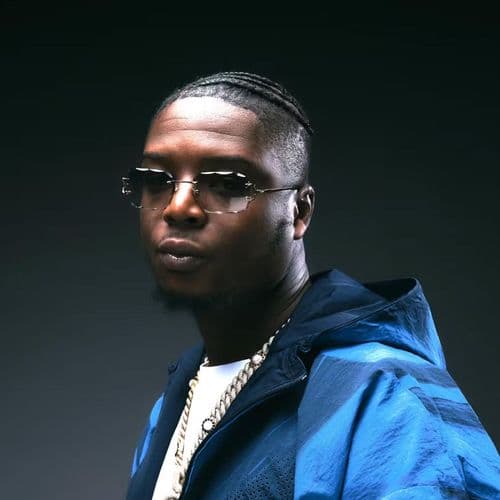 Photo de l'artiste Ninho