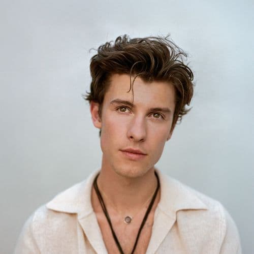 Photo de l'artiste Shawn Mendes