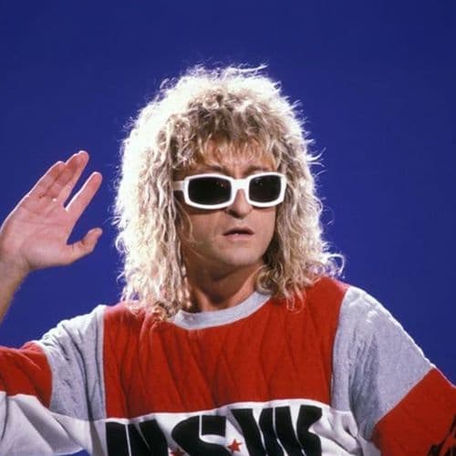 Photo de l'artiste Michel Polnareff