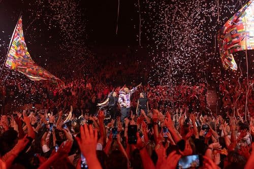 Image de l'artiste en concert.