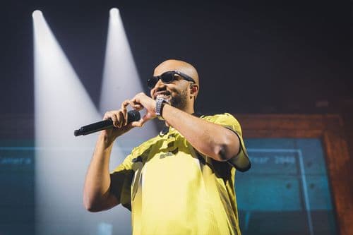 Image de l'artiste en concert.