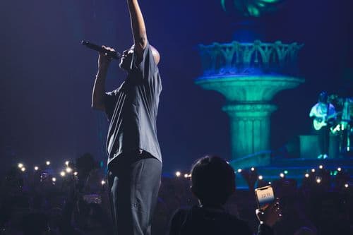 Image de l'artiste en concert.