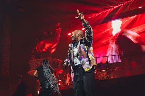 Image de l'artiste en concert.