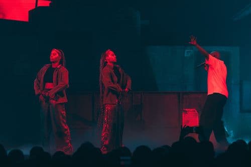 Image de l'artiste en concert.