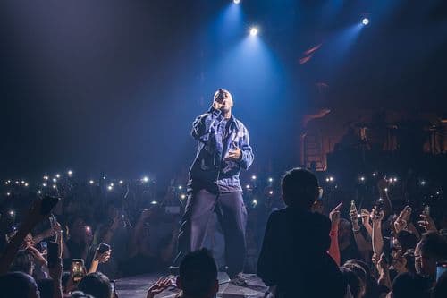 Image de l'artiste en concert.