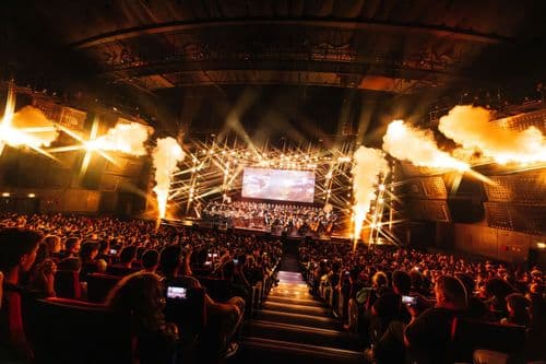 Image de l'artiste en concert.