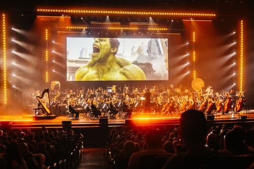 Image de l'artiste en concert.