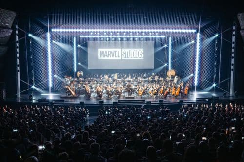 Image de l'artiste en concert.