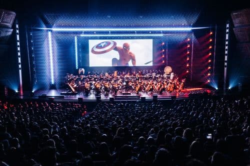 Image de l'artiste en concert.