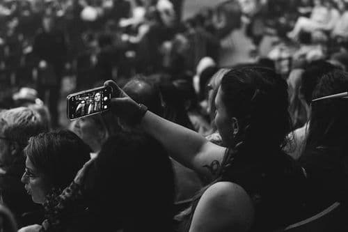 Image de l'artiste en concert.