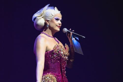 Image de l'artiste en concert.