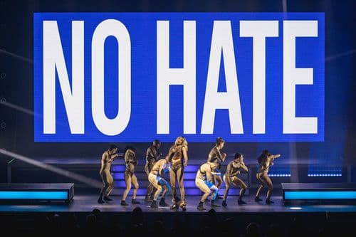 Image de l'artiste en concert.