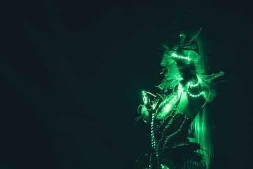 Image de l'artiste en concert.