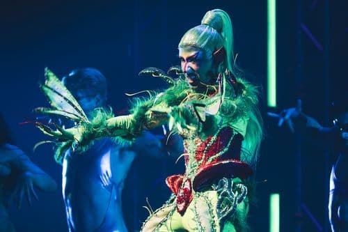 Image de l'artiste en concert.