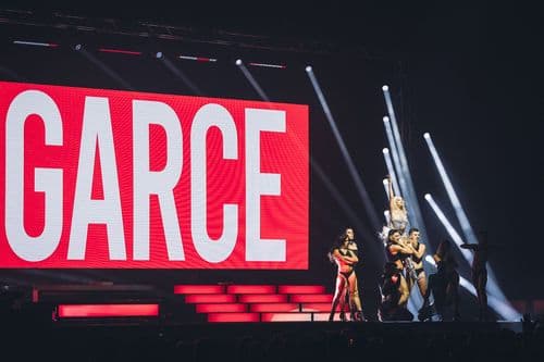 Image de l'artiste en concert.