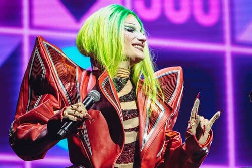 Image de l'artiste en concert.