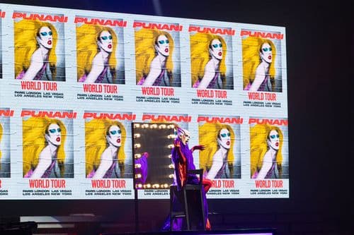 Image de l'artiste en concert.