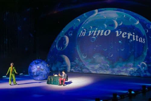 Image de l'artiste en concert.