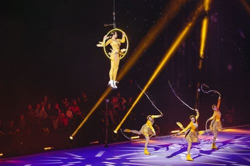 Image de l'artiste en concert.