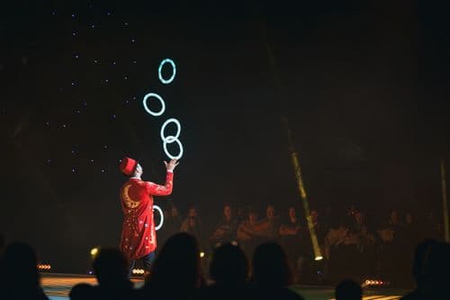 Image de l'artiste en concert.