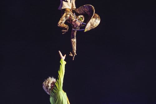 Image de l'artiste en concert.