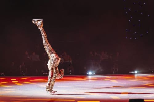 Image de l'artiste en concert.