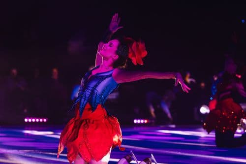 Image de l'artiste en concert.