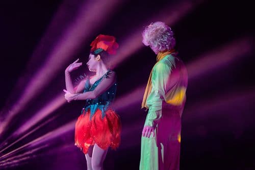 Image de l'artiste en concert.