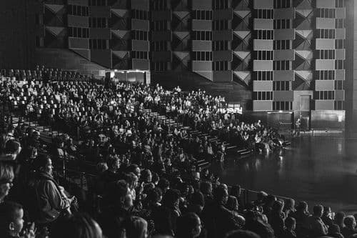 Image de l'artiste en concert.